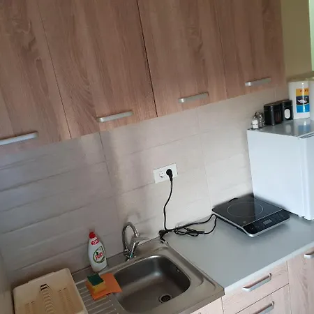 Lazar I Nemanja * Podgorica